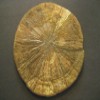 Pyrit Sonne